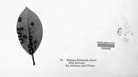 Image Associated With the Occurence